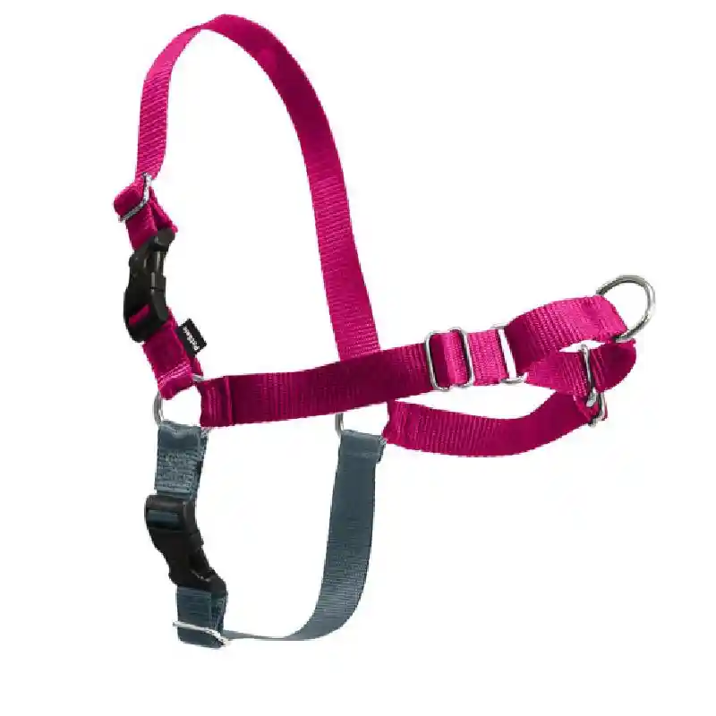 Easy Walk Harness, No Pull Dog Harness X-lg Rasp