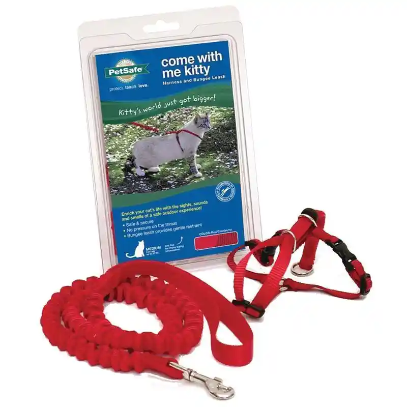 Harness & Bungee Leash Medium Red Medium