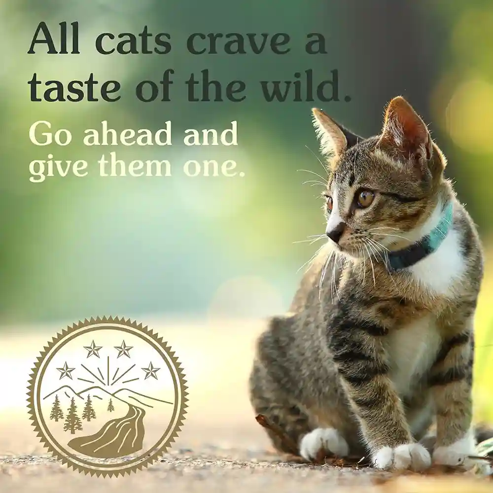 Rocky Mountain Grain-free Canned Cat Food 3-oz