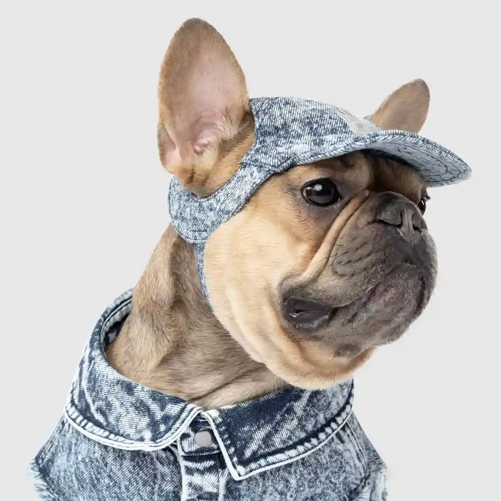 Comeback Denim Dog Cap Small