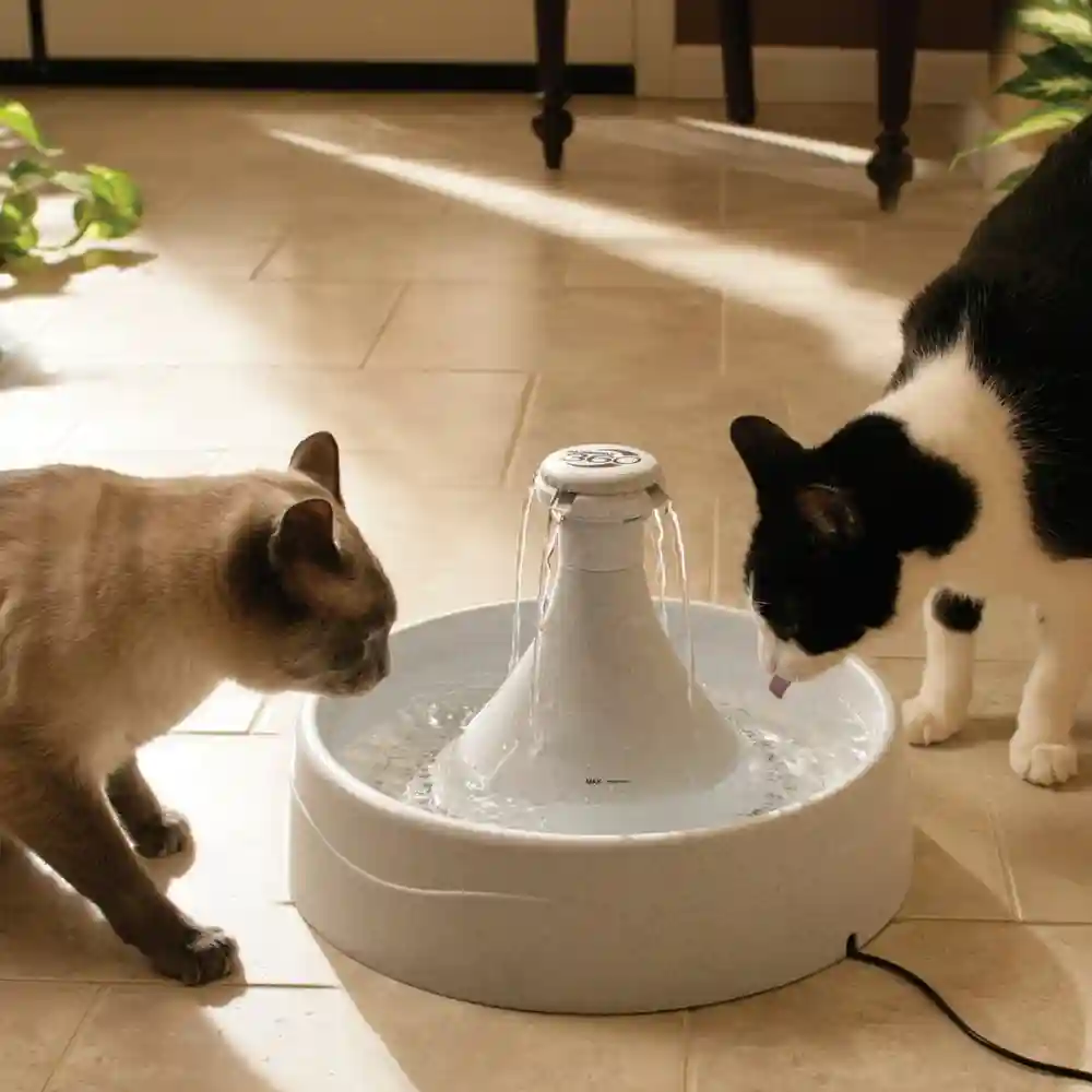 Drinkwell 360 Pet Fountain One Size