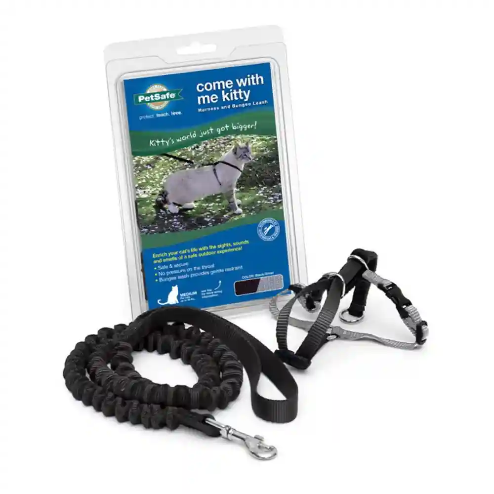Harness & Bungee Leash Small Black