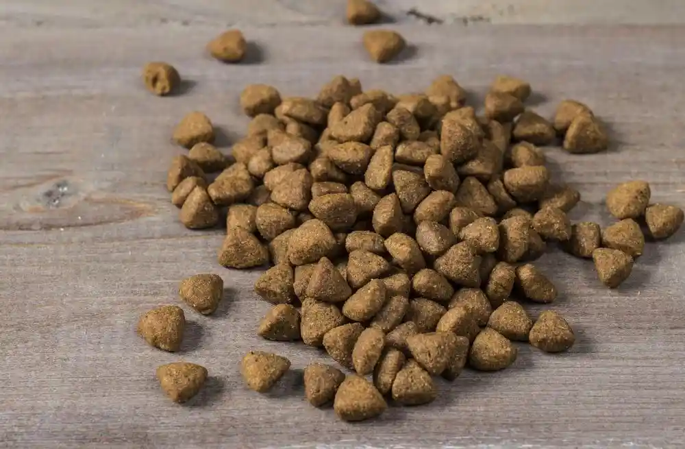 Freestyle Grain Free Puppy Turkey & Sweet Potato Dry Dog Food 24-Lb