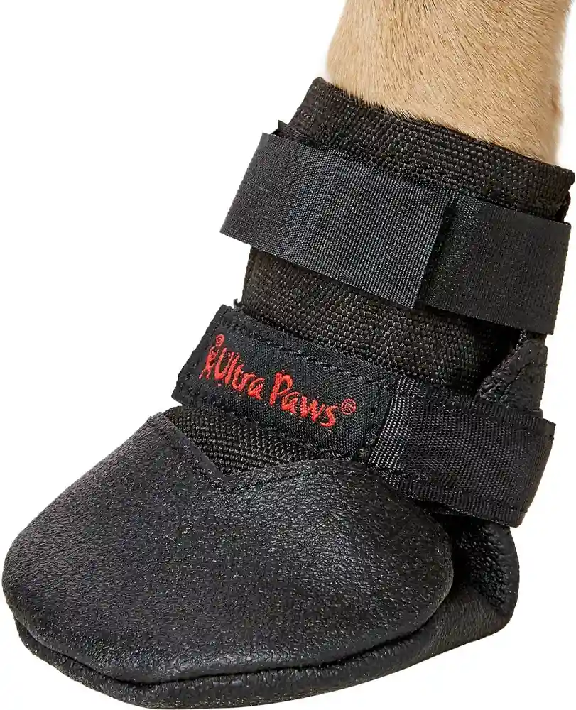 Durable Black Dog Boots X-small