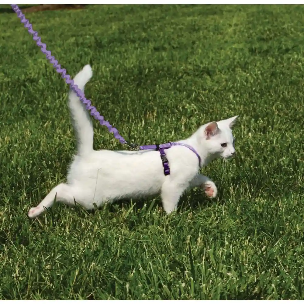 Come W/ Me Kitty Harness & Bungee Leash Sm Lilac