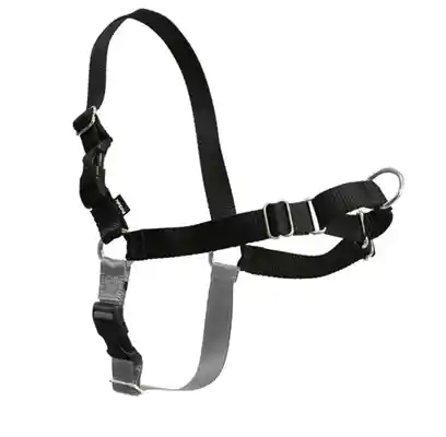Easy Walk Harness, No Pull Dog Harness Petite Black
