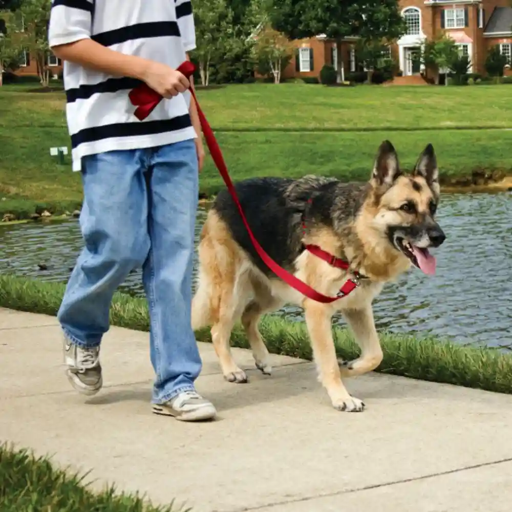 Deluxe Easy Walk No Pull Harness Medium Steel