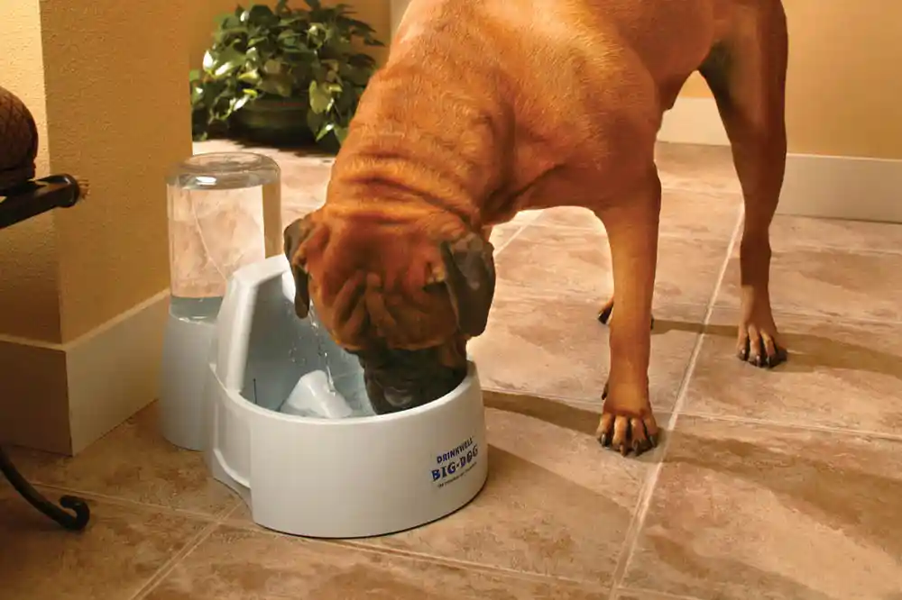 Drinkwell Big Dog Pet Fountain One Size