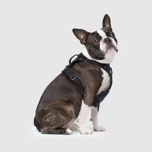 The Everything Harness In Plaid Large
