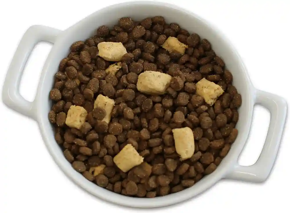 Backcountry Raw Infused Kitten Recipe Grain-free Dry Cat Food 3-lb