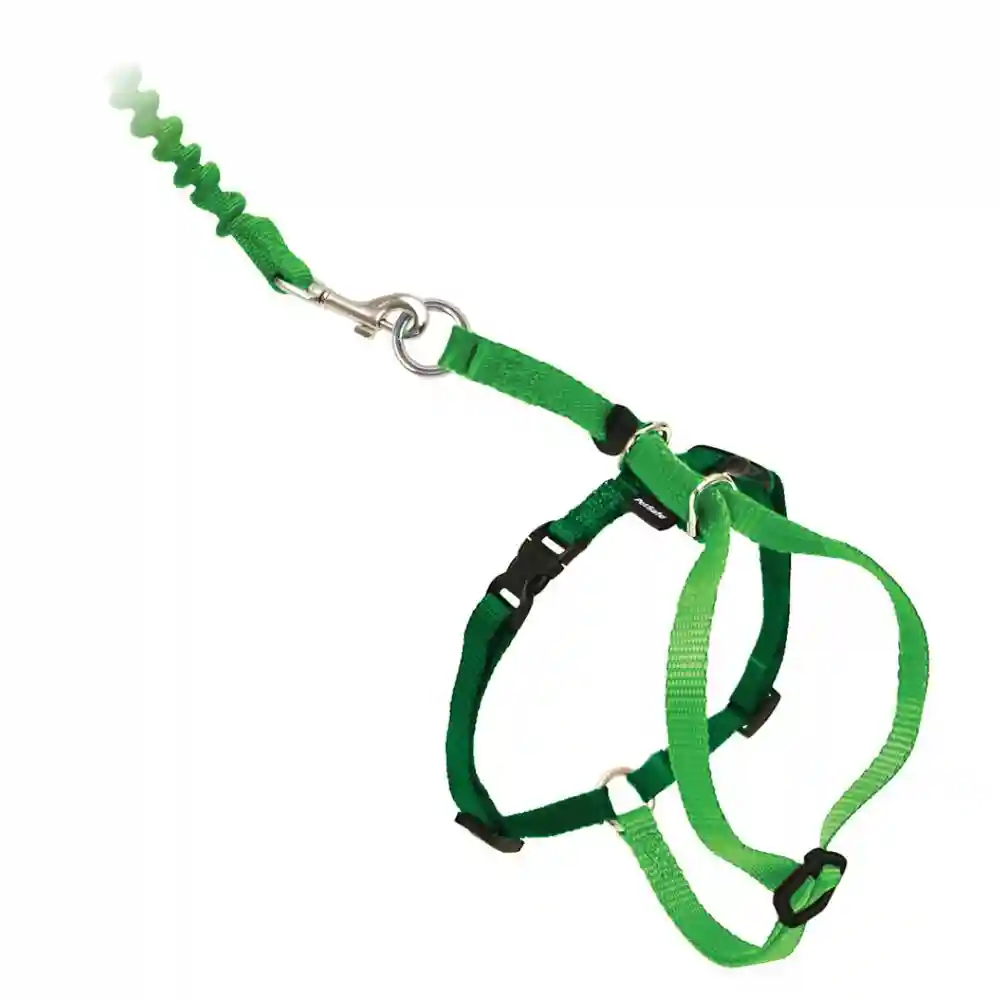 Harness & Bungee Leash Large Electric Lime