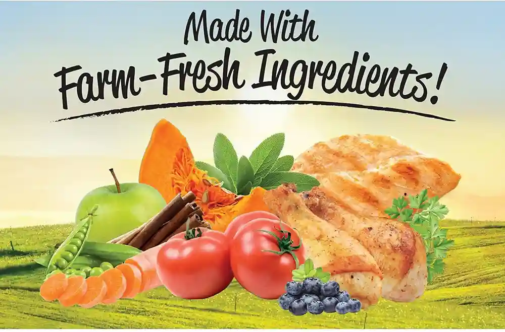 Under The Sun Grain-free Chicken Recipe Adult Dry Dog Food 4-lb