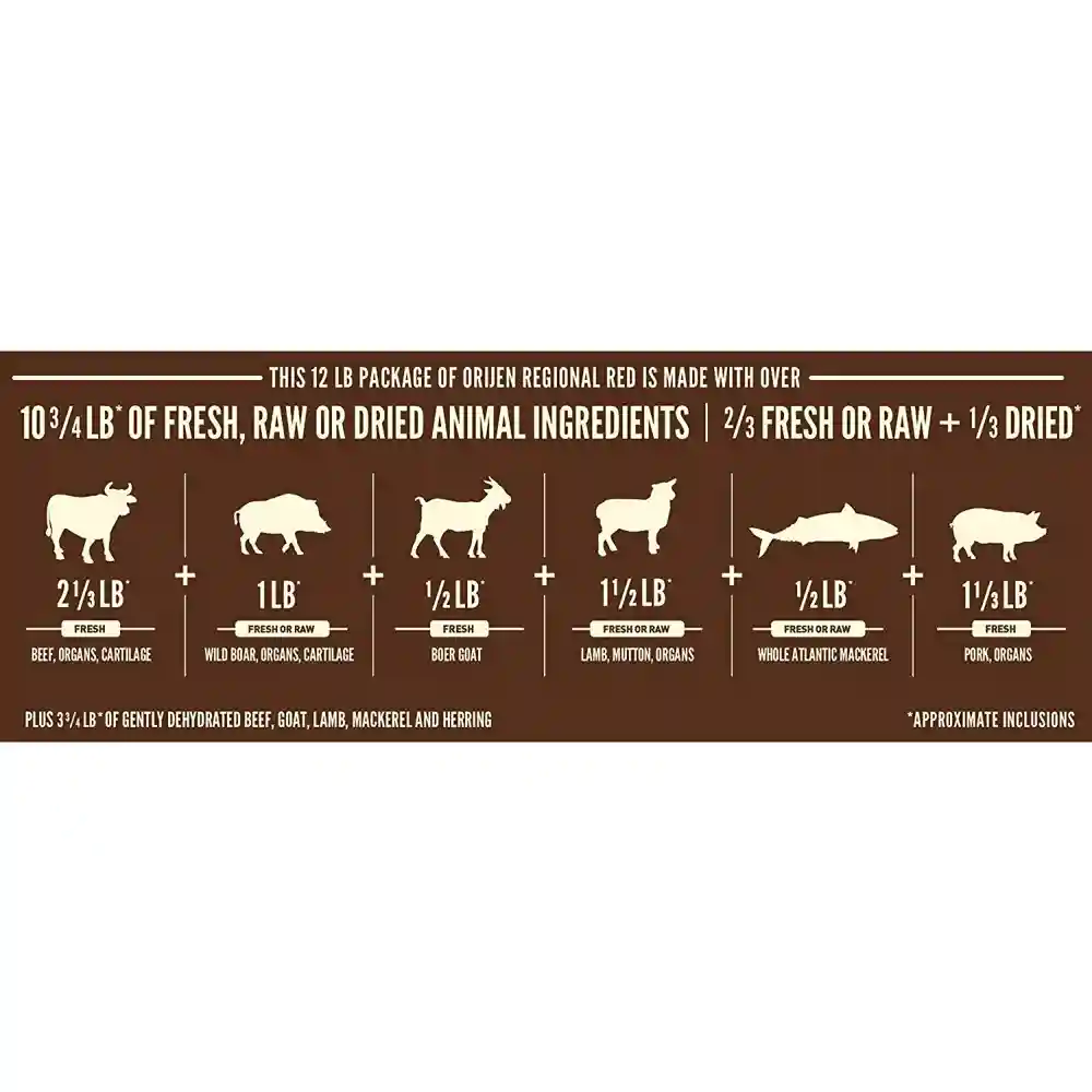 Dry Cat Food, Regional Red, Biologically Appropriate & Grain Free 12-oz