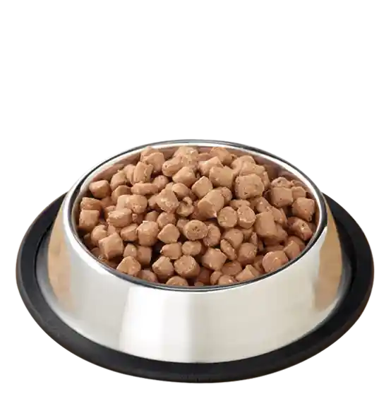 Pronto Raw Lamb Frozen Dog Food 4-Lb