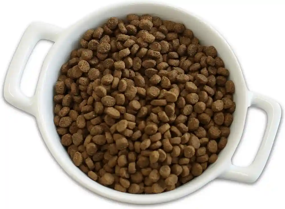 Purrfect Bistro Grain-free Healthy Kitten Recipe Dry Cat Food 7-lb