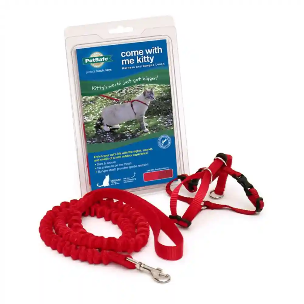 Harness & Bungee Leash Medium Red Medium