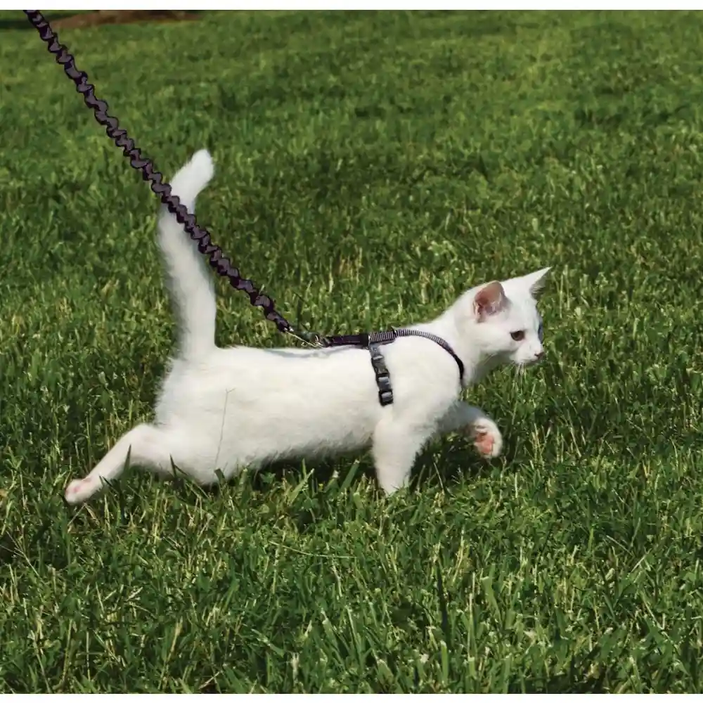 Harness & Bungee Leash Small Black