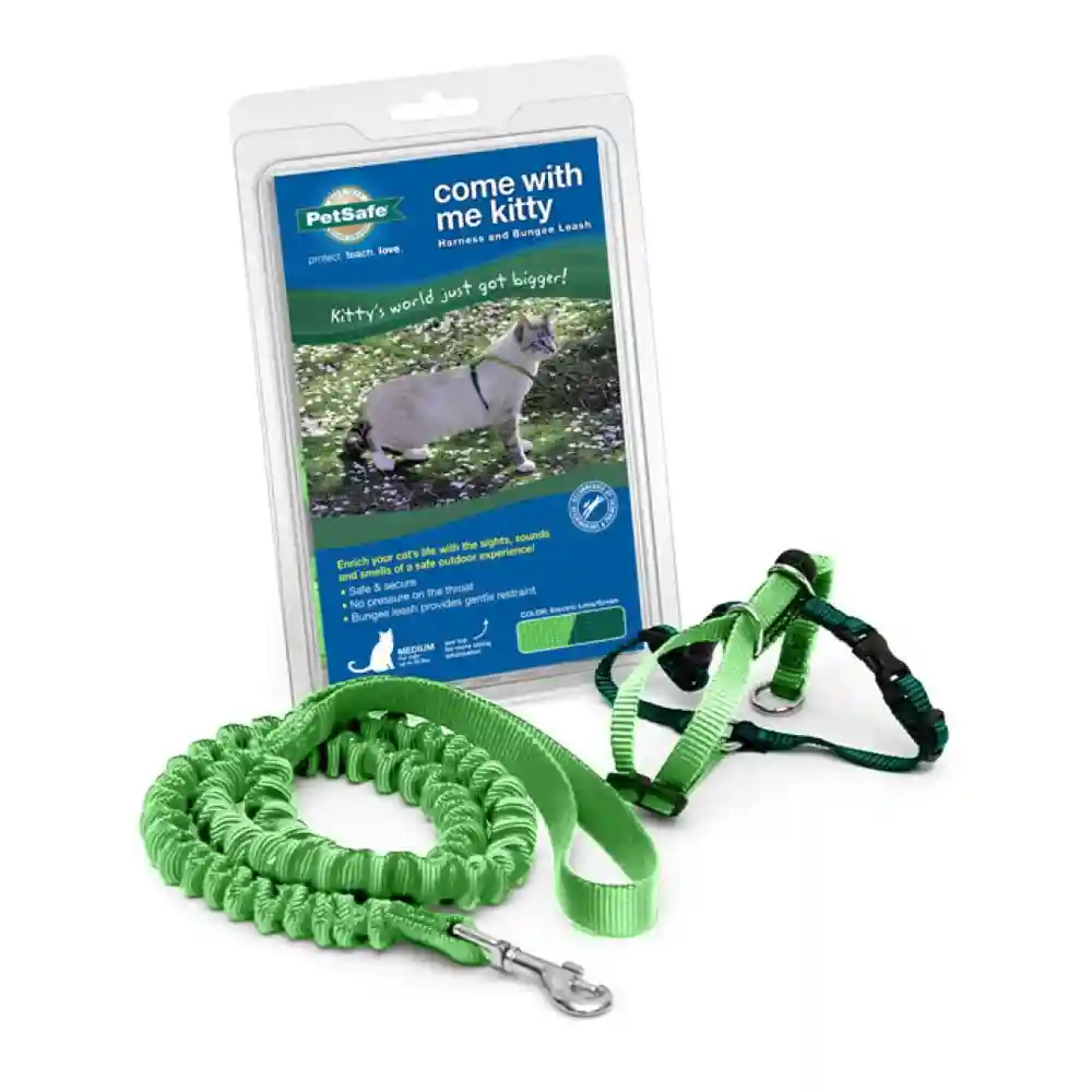 Harness & Bungee Leash Large Electric Lime