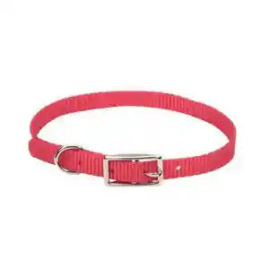 Single Ply Dog Collar - Red Xsml 3/8" X 10"