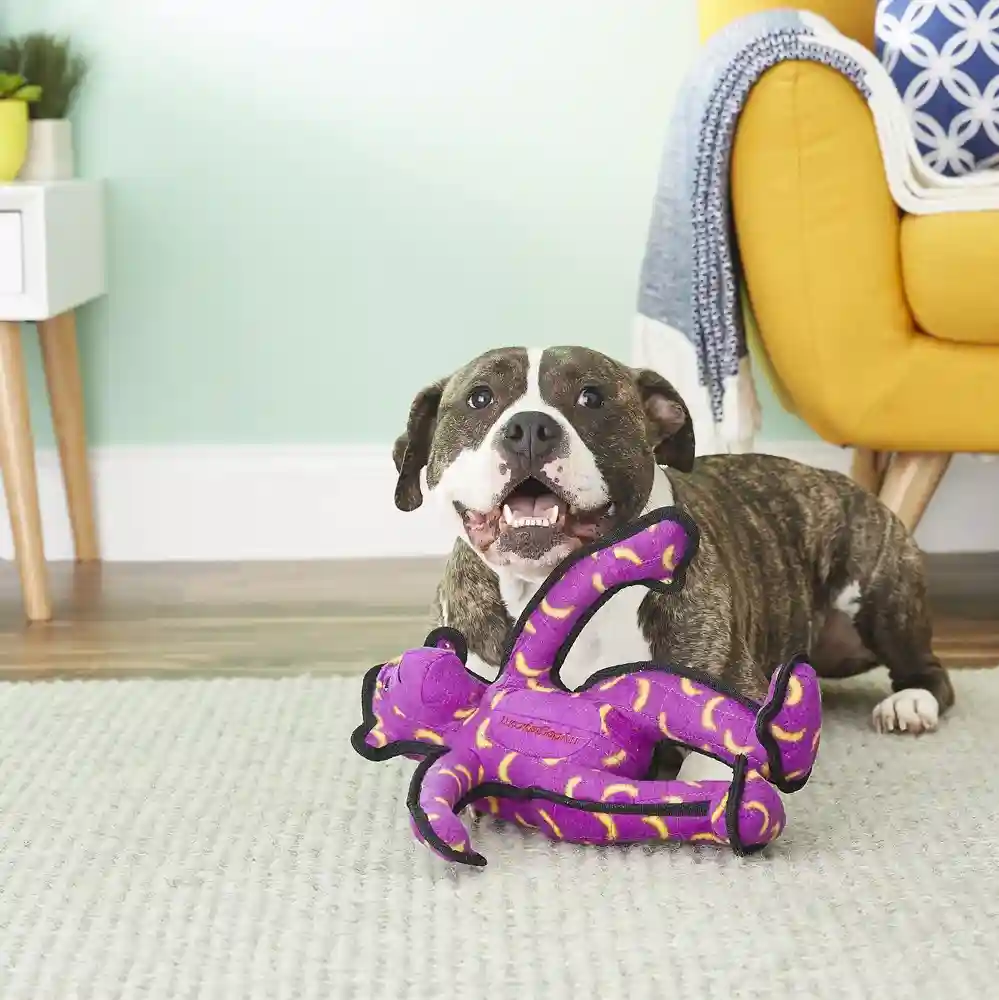 Zoo Monkey Dog Toy L