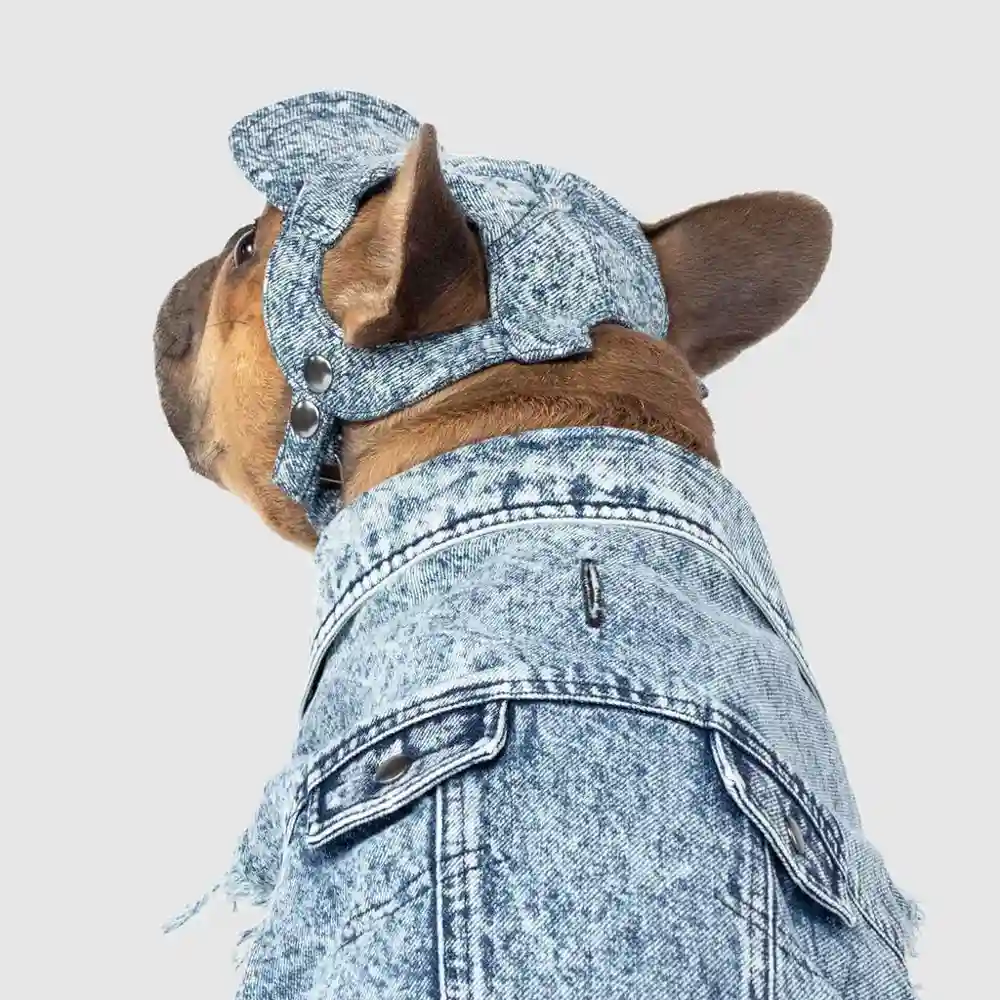 Comeback Denim Dog Cap Small