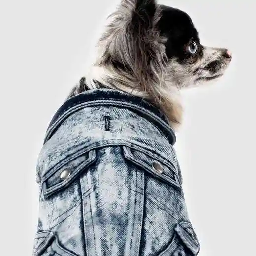 Downtown Denim Jacket 16"