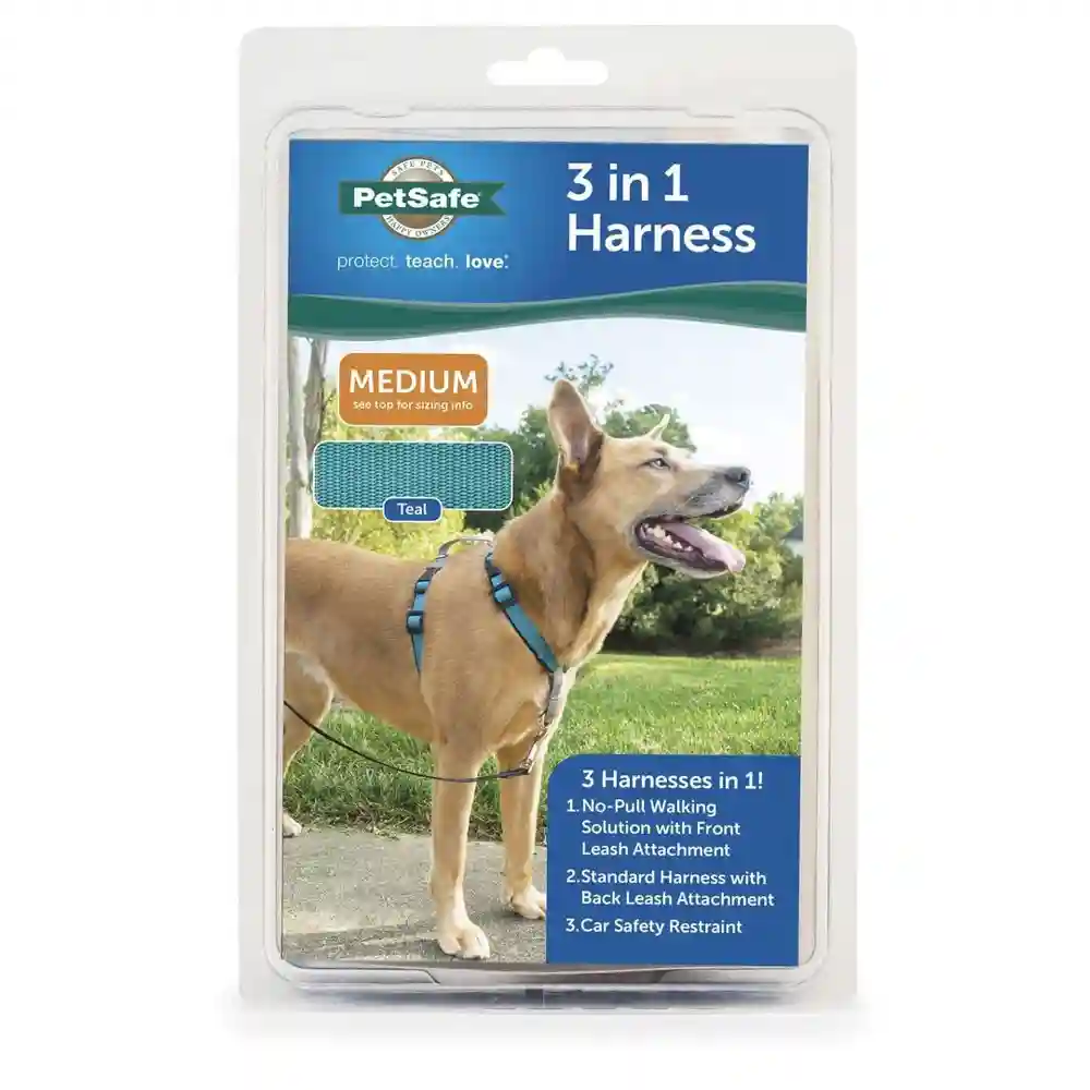 3 In 1 Harness Medium Teal Medium