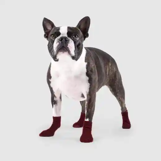 Cambridge Dog Socks In Maroon Small