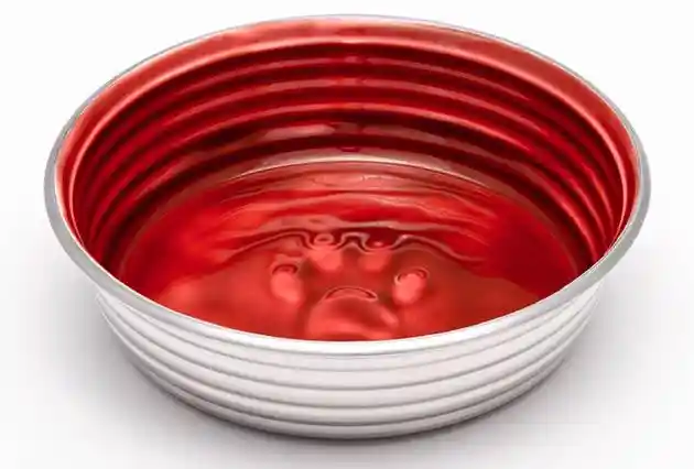 Le Bol Dog Bowl – Bordeaux Small - 5.50" - 16-Oz.