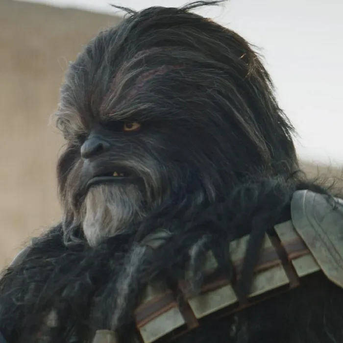 Male Wookie named Richard for sale at Pinogy Store.