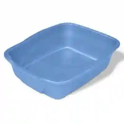 Image Alternative Text