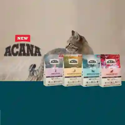 Image Alternative Text