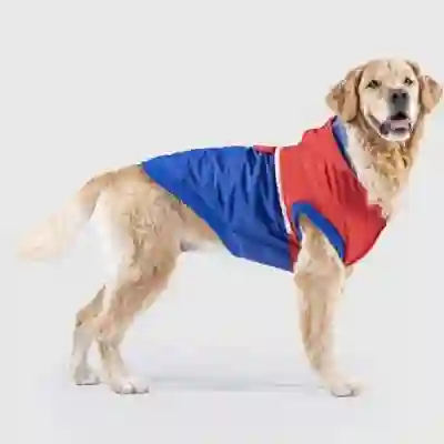 Image Alternative Text