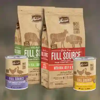 Image Alternative Text