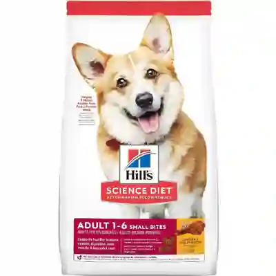 Image Alternative Text