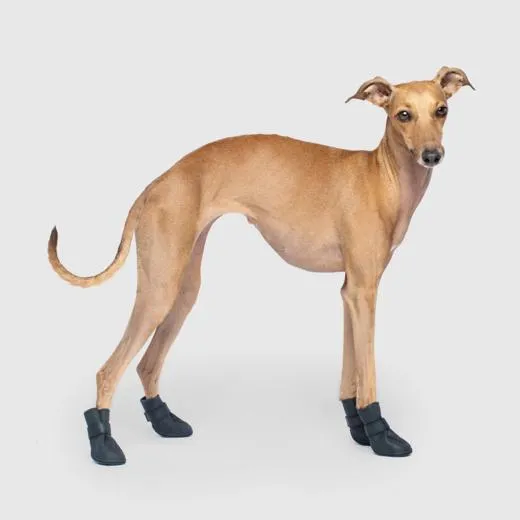Unlined Wellies In Black 2x-Large