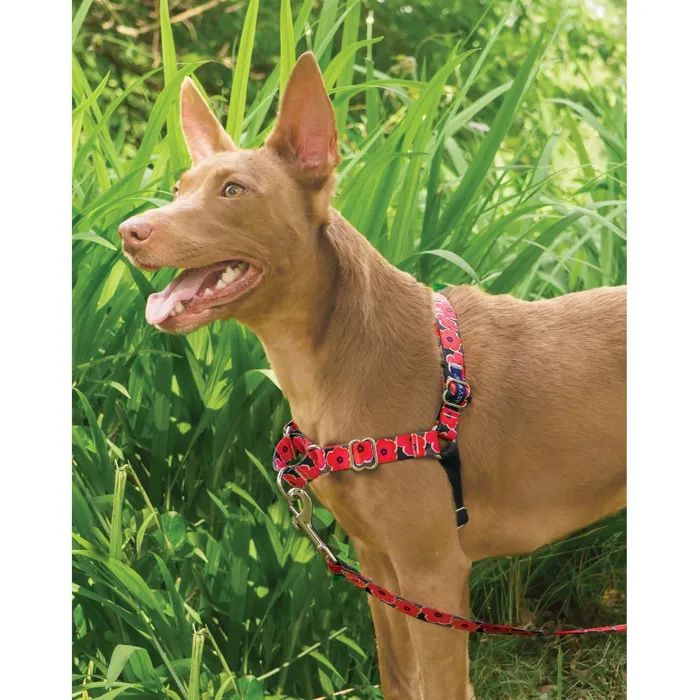 Easy Walk Chic Designer Harness & Leash Md Poppies