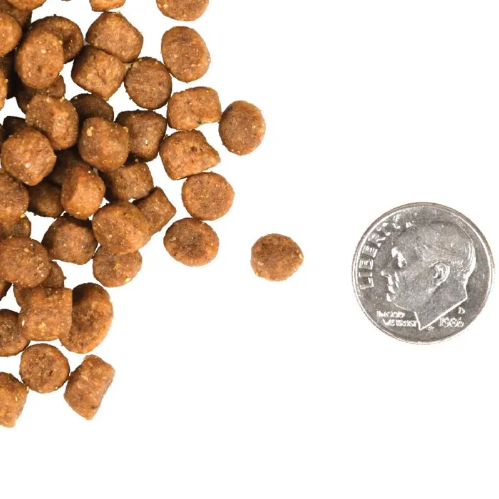 Gold Adult Dry Cat Food 15-lb