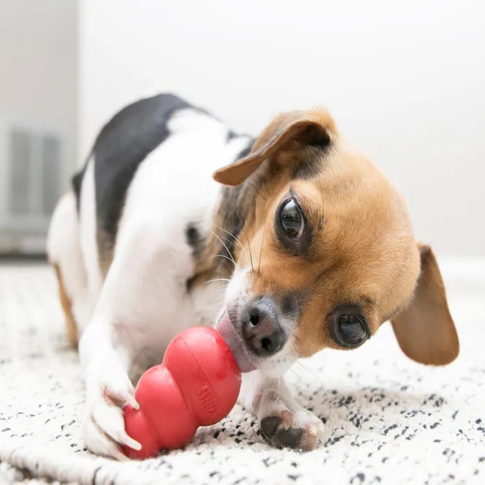 Kong Classic Small Red Toy