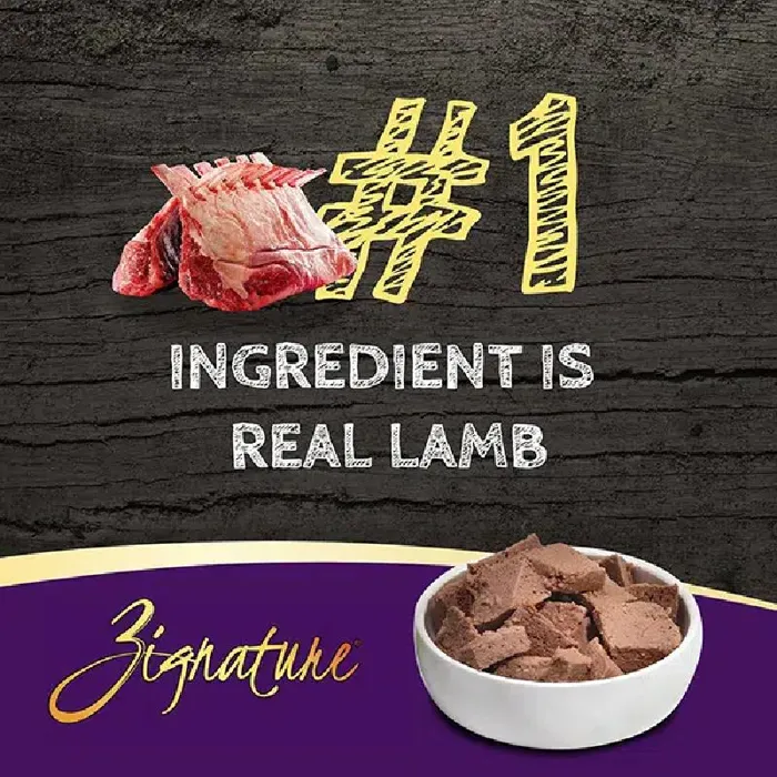 Limited Ingredient Diet Grain Free Lamb Recipe Canned Dog Food 13-oz