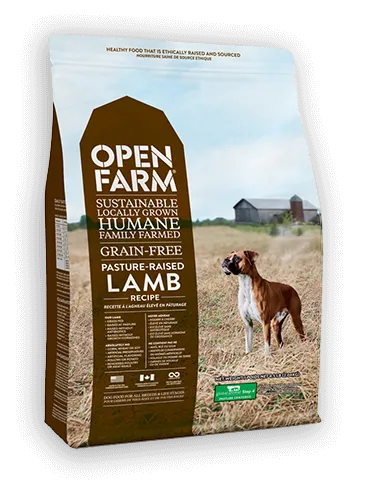 Grain-Free Pasture Raised Lamb Recipe Dry Dog Food 4.5-Lb