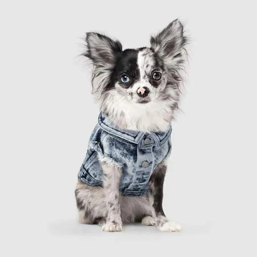 Downtown Denim Jacket 22"