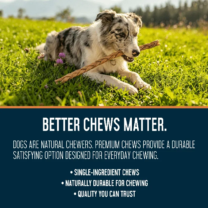 Dogginstix Braided Lamb Collagen 24-inch chew lifestyle