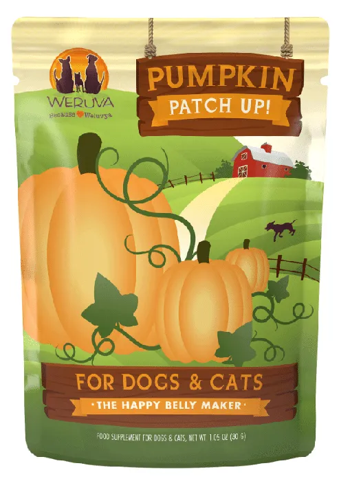 Pumpkin Patch Up Supplement For Dogs & Cats 2.8-oz