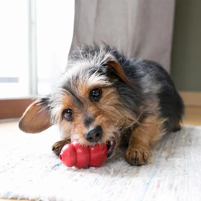 Kong Classic Small Red Toy