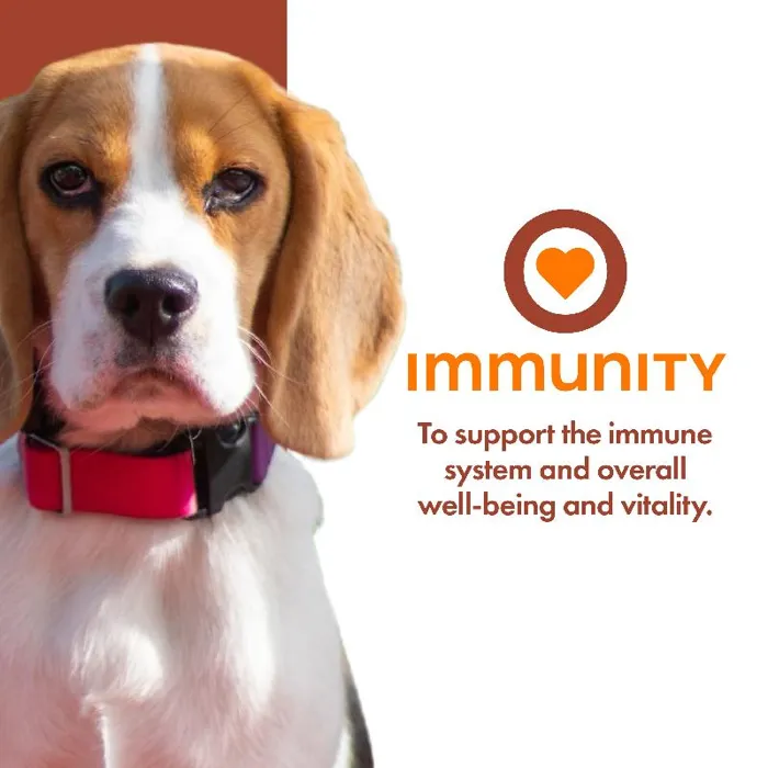 Fromm Treats Dog Nutritionals Immunity 6-oz