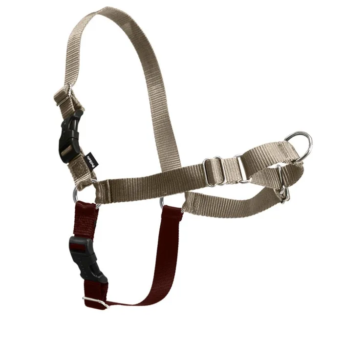 Easy Walk Harness, No Pull Dog Harness Med / Large Fawn