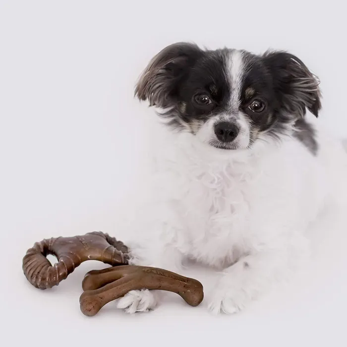 Benebone Tiny Bacon Flavor Dog Chew Toy, 2-ct