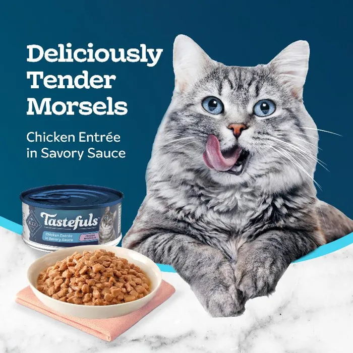 Bltst Cat Chk Morsl 5.5z/12
