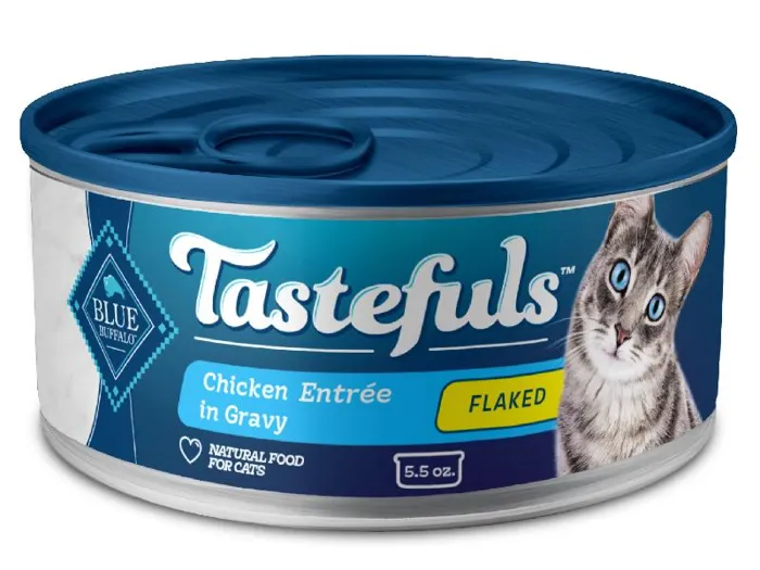 Bltst Cat Chk Flk 5.5z/12